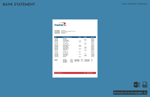 USA Capital One Kontoauszug – Beispieltext (Vorschau)
